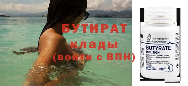 индика Каменногорск