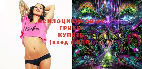 MDMA Premium VHQ Каменка