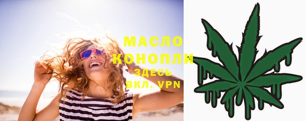 индика Каменногорск