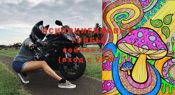 меф Каменск-Шахтинский